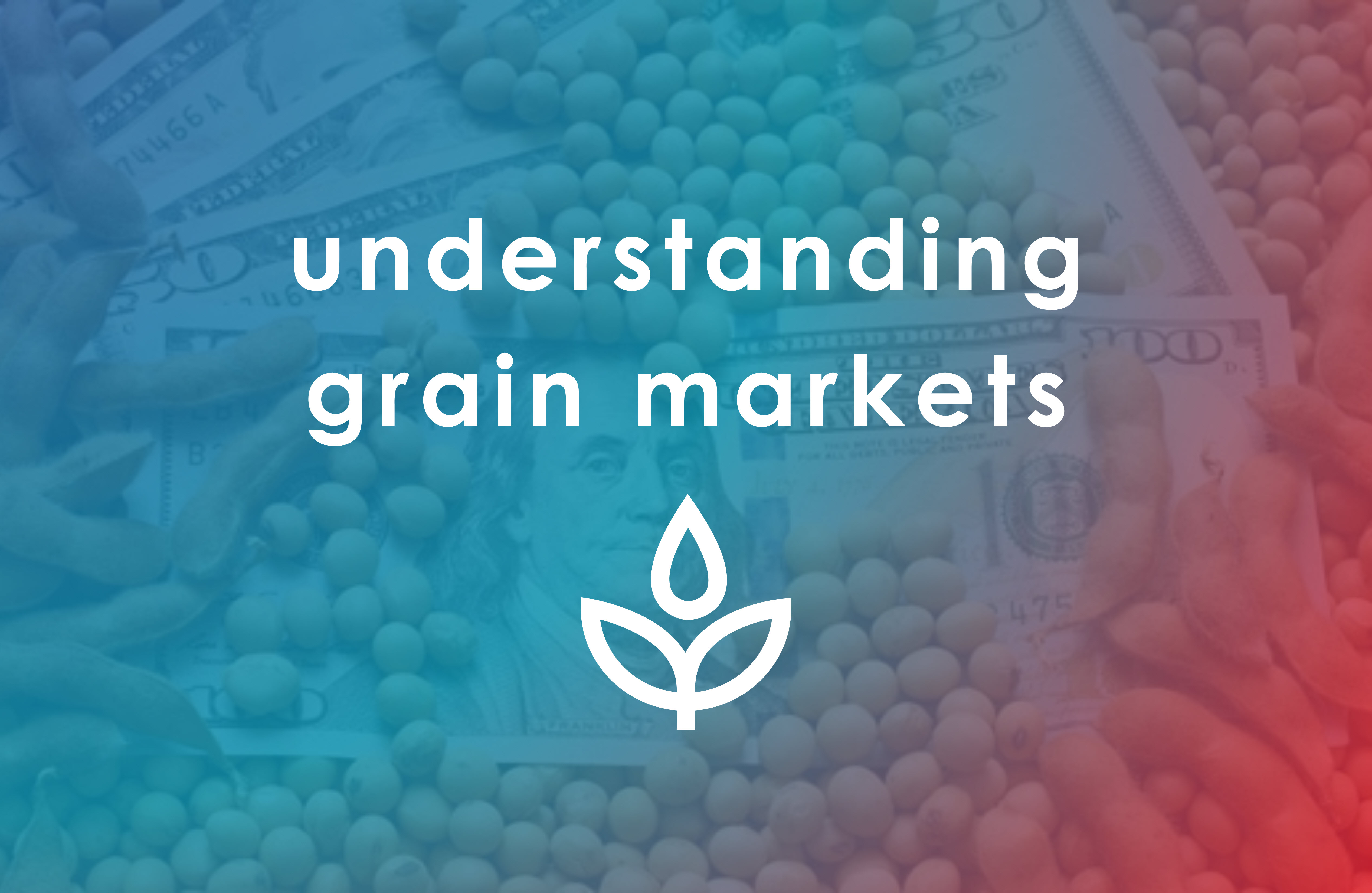 Understanding Grain Markets